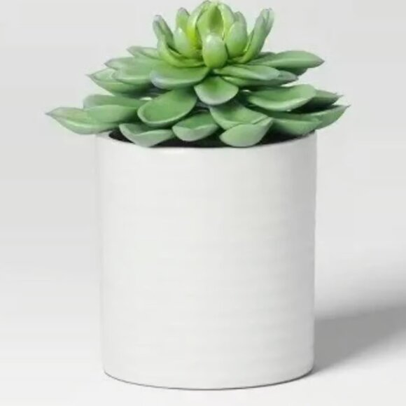 Faux Arrangements Succulent - NEW!!! - Picture 5 of 5